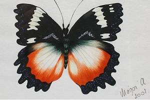 Schmetterling-2 - Ausschnitt. Kunstwerk von Aranka Mágori.
